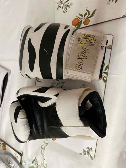 Photo of free Childs Boxing gloves (Mountsorrel LE7) #1