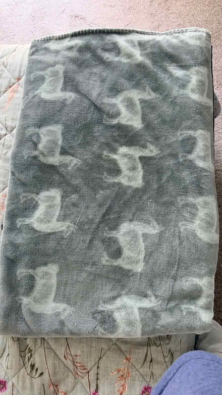 Photo of free Blanket llama print (Surrey Quays SE16) #1