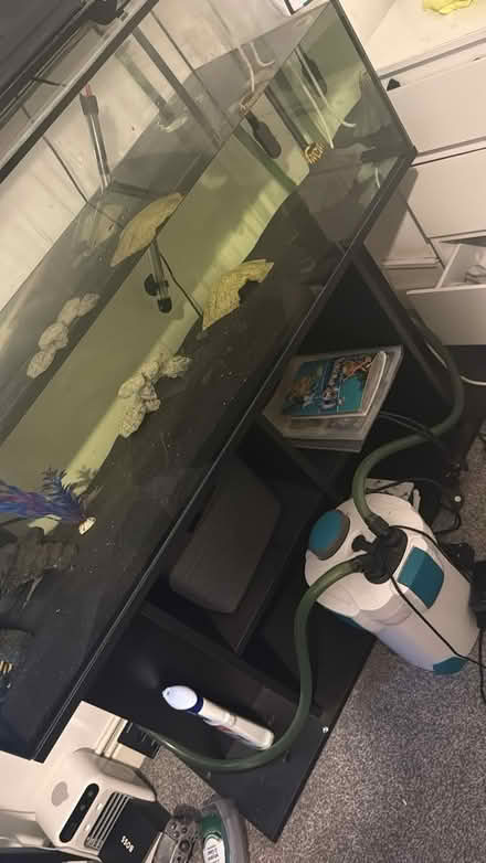 Photo of free 6ft fish tank (Se16) #1