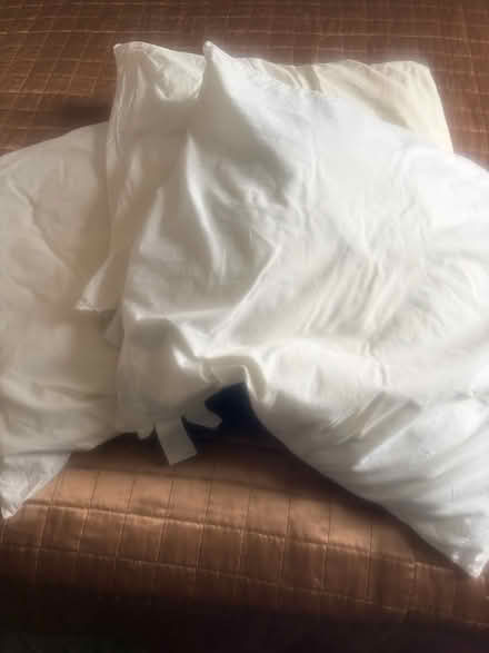 Photo of free 3 large cushion fillers. SW2 2LP (Brixton SW2) #1