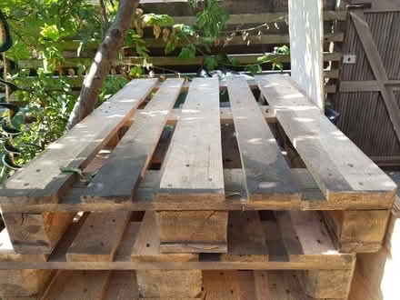 Photo of free Pallets x 12 (Gospel Oak NW5) #1