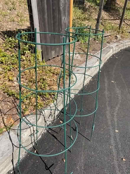 Photo of free tomato supports and large pots (Orinda) #1