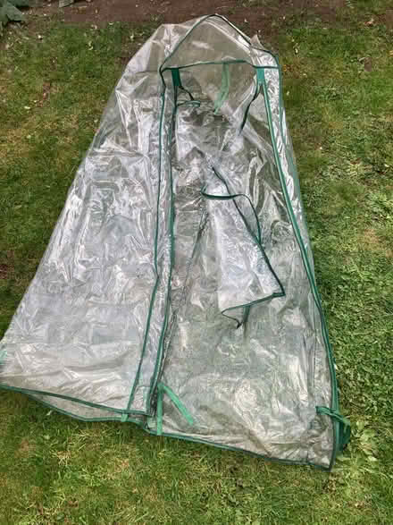 Photo of free 4 tier greenhouse cover (Harrow HA1) #2