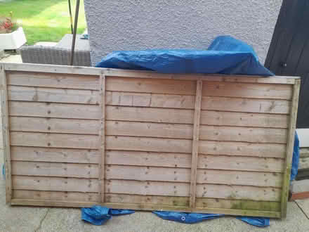 Photo of free Fence panels (Yeovil BA21) #1
