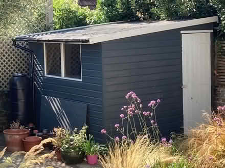 Photo of free Garden shed (Worthing BN11) #3