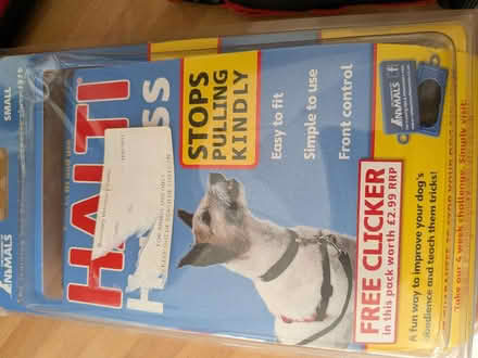 Photo of free Halti harness stop pull for small dog (Shippon OX13) #3