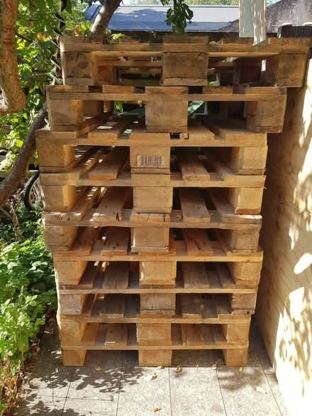 Photo of free Pallets x 12 (Gospel Oak NW5) #3