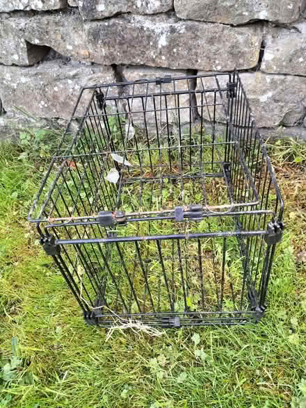Photo of free Humane Animal Trap (Knighton LD7) #1