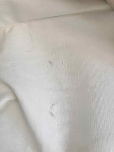 Photo of free Black out curtains (North Oakland/Bushrod) #2