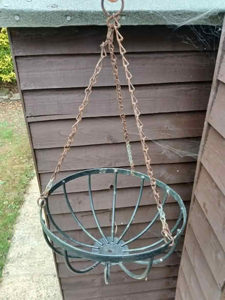 Photo of free Hanging Basket (Hangleton, West Hove BN3) #1