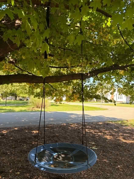 Photo of free Tree swing (Near Seven Mile and Farmington) #1