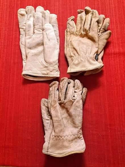 Photo of free 3 pair used leather gloves (69th Street, Upper Darby) #1