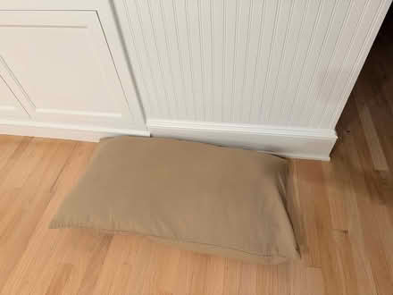 Photo of free Dog/cat bed (Near Bachman Park, Los Gatos) #1