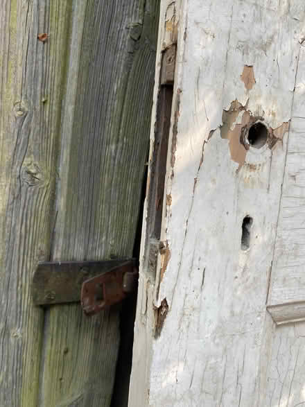 Photo of free Original Internal 1930s door (Merton Park SW19) #3