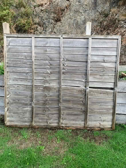 Photo of free Fence panels (Stiperstones SY5) #3