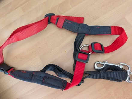 Photo of free Halti harness stop pull for small dog (Shippon OX13) #2