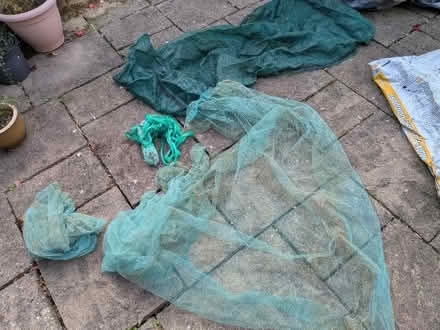 Photo of free Garden netting, greenhouse shading (Cannon Park CV4) #4