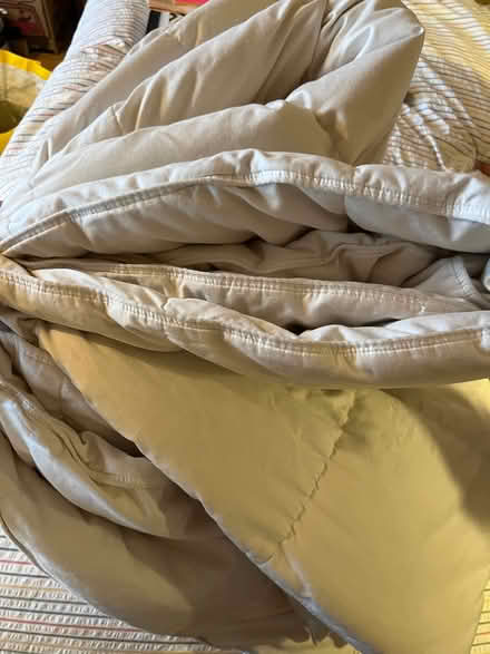 Photo of free 10.5 tog down king duvet (Penge SE20) #2