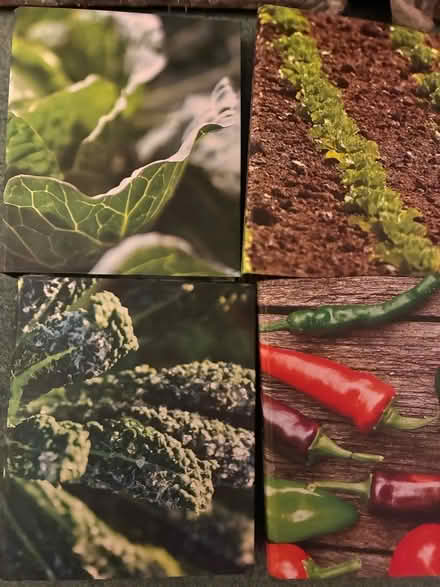 Photo of free Selection of Recipes in binders (Furzton MK4) #2