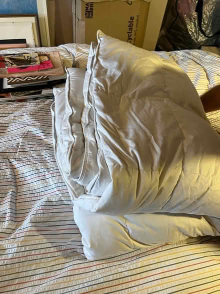 Photo of free 10.5 tog down king duvet (Penge SE20) #1