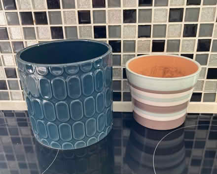 Photo of free plant pots (St Julians AL1) #1