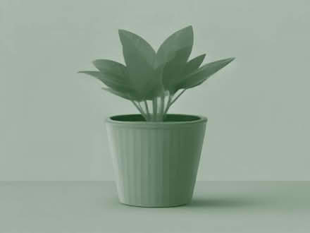 Photo of Large or Medium Sized Plastic Plant Pots (Ballymacarret BT4) #1