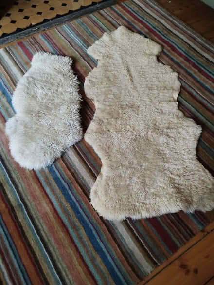 Photo of free Sheepskin rugs (Stockbridge EH4) #1