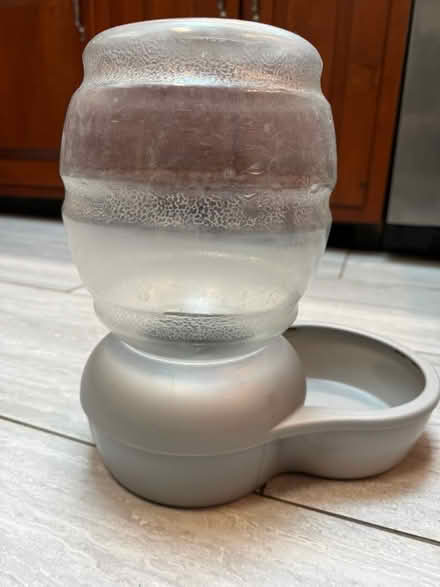 Photo of free Pet water bowl (Chelmsford, MA) #1