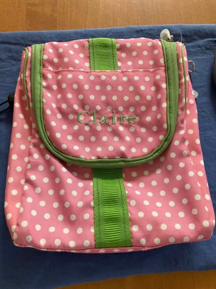 Photo of free Travel / bathroom bag (Southwest Ann Arbor) #1