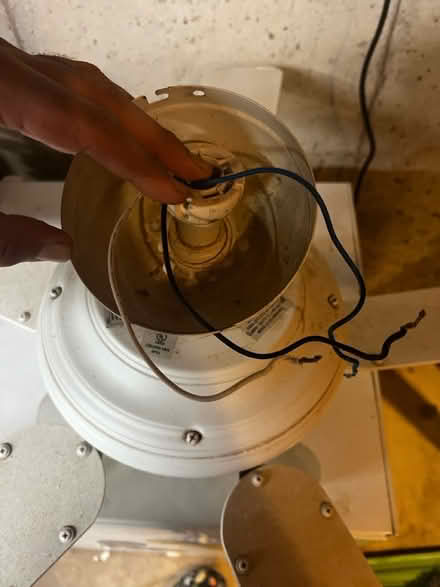 Photo of free Ceiling fan (Saint Peters) #4