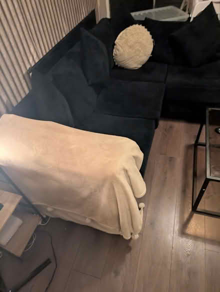 Photo of free Black plush velvet sofa (Birkenhead CH41) #3