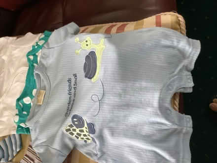 Photo of free 1st size babys vests (Maidstone ME15) #2