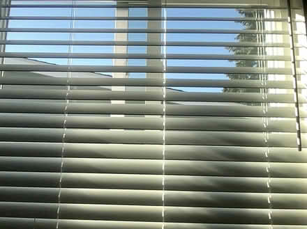 Photo of free 46 5/8 X 46 3/4 Blind (Ballard) #3
