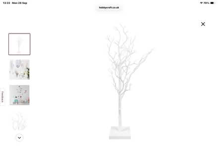 Photo of Twig tree (Aspley Guise) #1