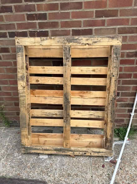 Photo of free Wood pallet (CT11 ramsgate) #1