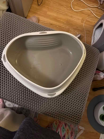 Photo of free Litter tray and mat (Wells BA5) #1