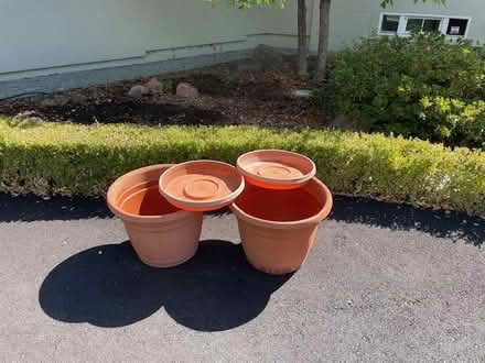 Photo of free tomato supports and large pots (Orinda) #2