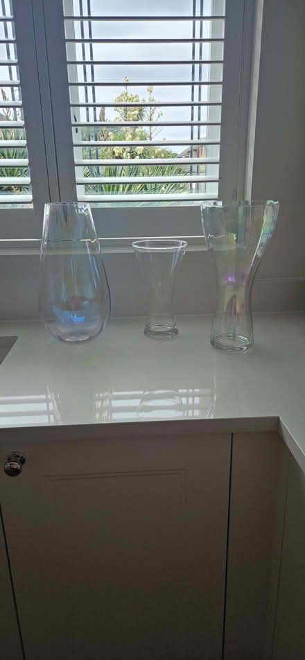 Photo of free Glass vases (South Benfleet SS7) #1