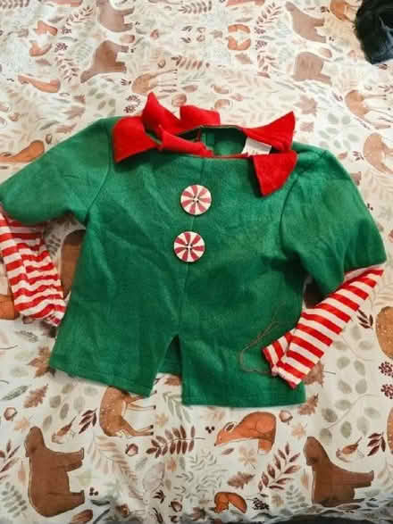 Photo of free Elf fan̈cy dress top (Bellingham SE6) #1