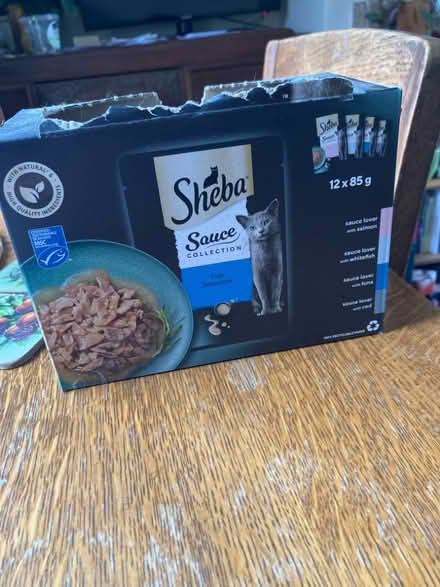 Photo of free Sheena cat food (Newhaven BN9) #1