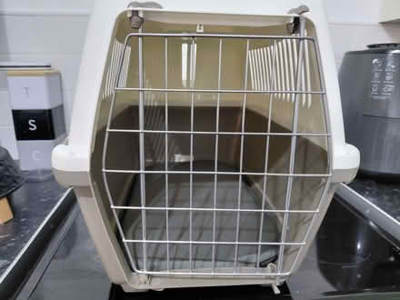 Photo of free Cat accessories (Gillmoss L11) #3