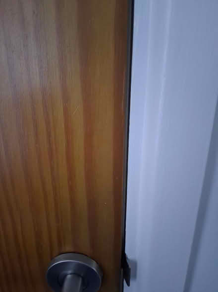 Photo of free Doors (Freshbrook SN5) #3