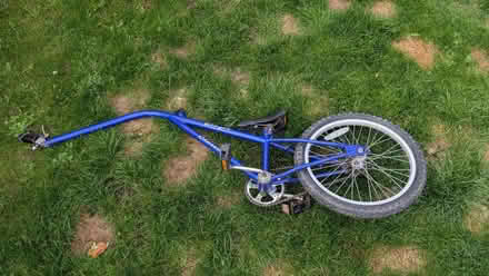 Photo of free Tag along bike. (Hassocks BN6) #1