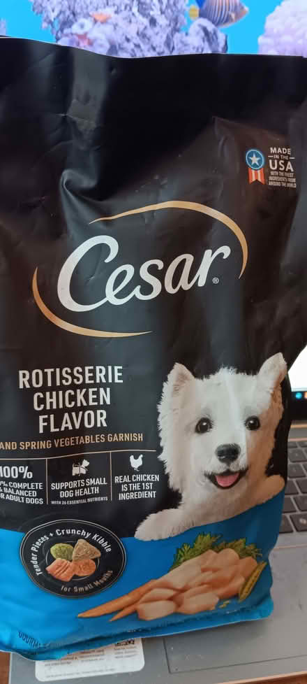 Photo of free ceasar dog food 2.7lb (melrose) #1