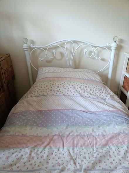 Photo of free Single bed (East Ogwell TQ12) #3