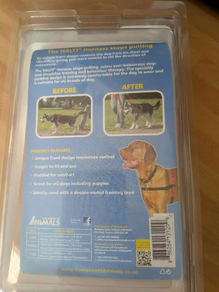 Photo of free Halti harness stop pull for small dog (Shippon OX13) #4
