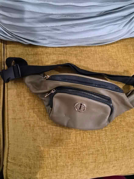 Photo of free Fanny Pack (Bowie) #1