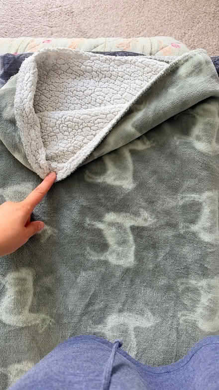 Photo of free Blanket llama print (Surrey Quays SE16) #2