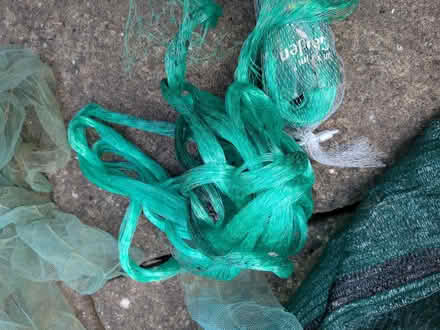 Photo of free Garden netting, greenhouse shading (Cannon Park CV4) #1