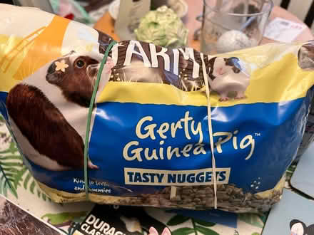 Photo of free 1/2 bag Gerty Guinea Pig Food (Seaside BN23) #1